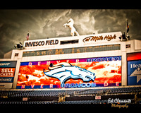 Invesco Field Print